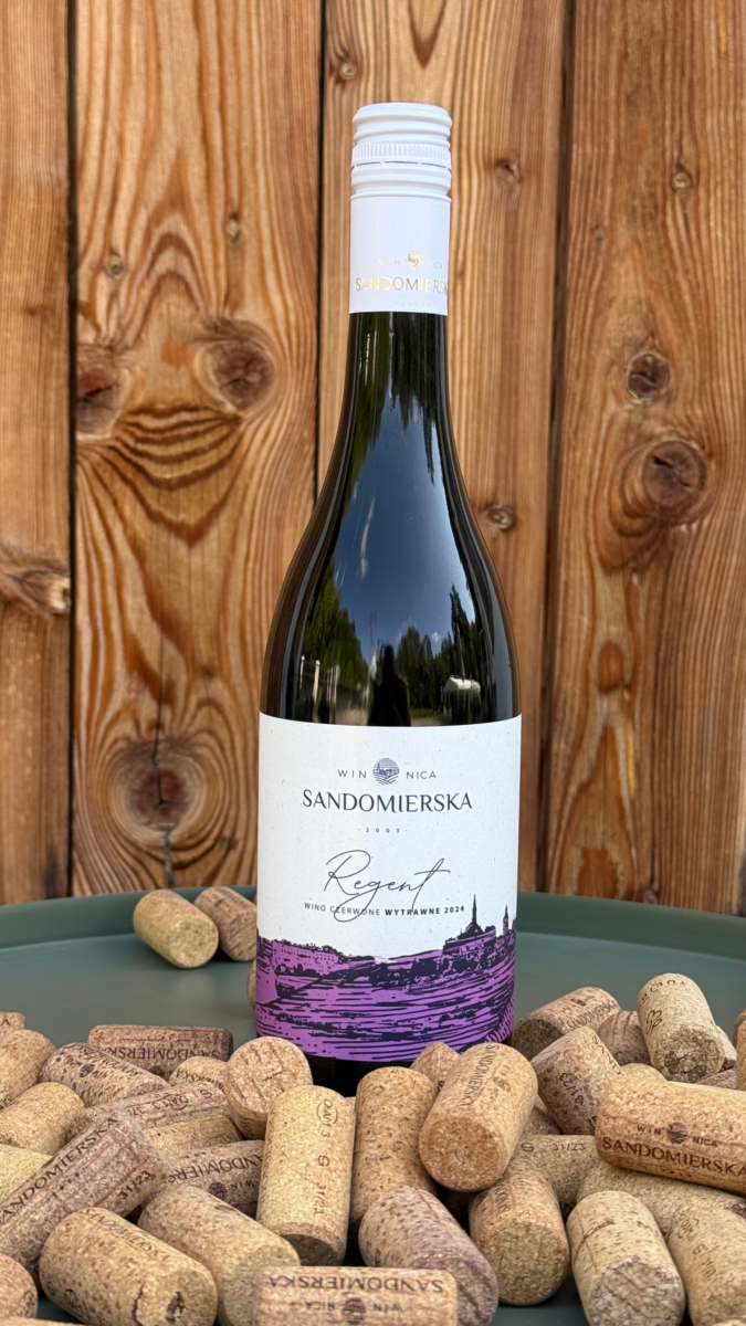 Regent wino czerwone wytrawne