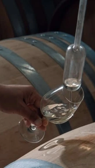 Szkolenie Winiarskie Vol 2